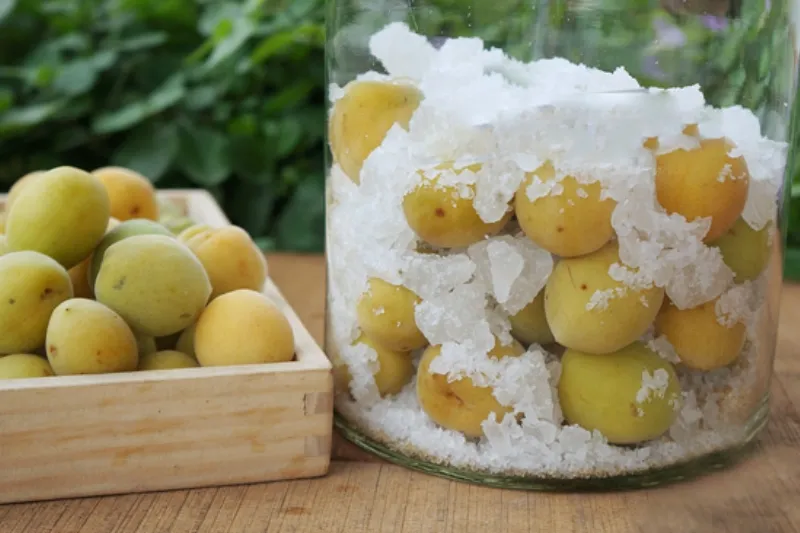 Các loại rượu mơ nổi tiếng khác